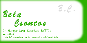 bela csontos business card